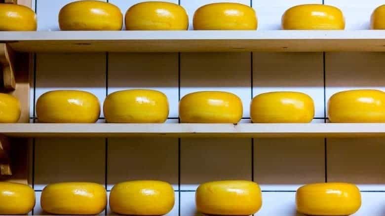 cheese on racks