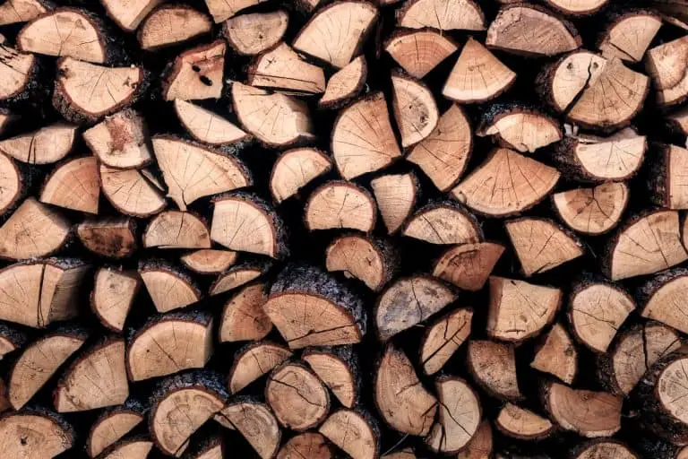 pile of wood chunks