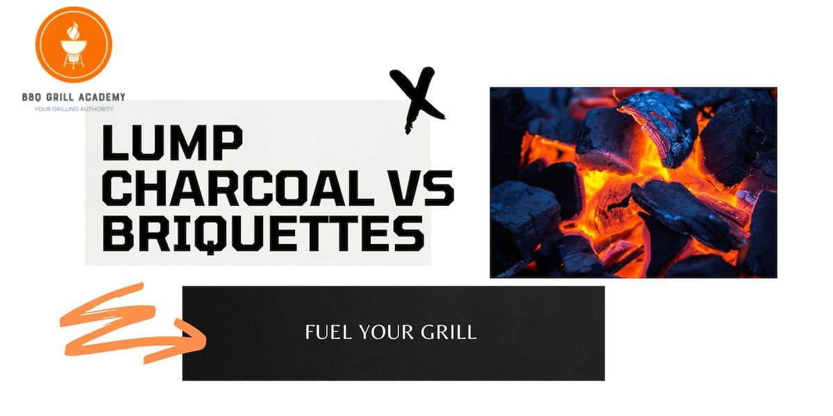lump charcoal vs briquette