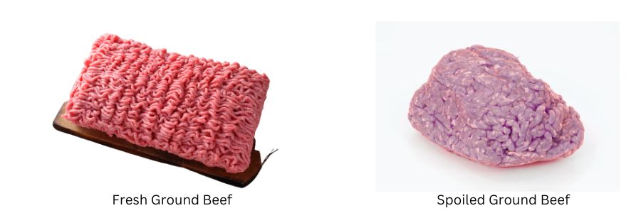 fresh vs spoiled ground beef